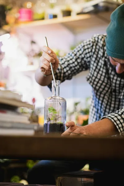 Creating Beautiful DIY Terrariums for Your HomeIllustration